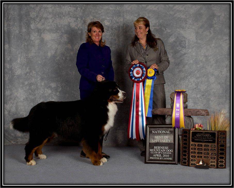 Dragongrdens Kennel